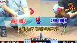 Trận 35 CPC1 5/6/2025 - Gà Bướm Anh Hiếu Đá Bo Như Xe Đụng