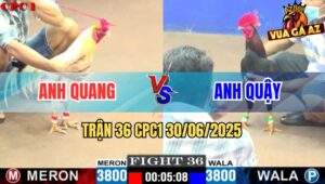 Trận 36 CPC1 30/06/2025 - Gà Anh Quậy Hụt Hơi Phút 90 Trước Anh Quang