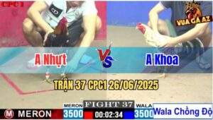 Trận 37 CPC1 26/06/2025 - Gà Anh Khoa Chồng Độ Thắng Đẳng Cấp