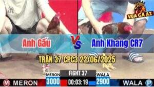 Trận 37 CPC3 22/06/2025 - Anh Gấu Bị Anh Khang CR7 Hạ Gọn