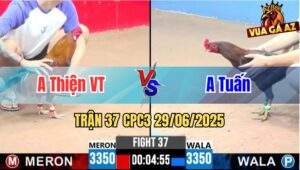 Trận 37 CPC3 29/06/2025 - Gà Anh Thiện Nhấp Vài Chân Kết Liễu Đối Thủ