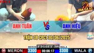 Trận 38 CPC1 30/06/2025 - Gà Anh Hiếu Đâm Toàn Mu Lưng Lụm Xổ Mau Lẹ