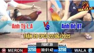 Trận 39 CPC3 22/06/2025 - Gà Anh Tý Long An Bị Dí Ăn 6 Và Cái Kết