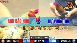 Trận 40 CPC1 7/6/2025 - Xám Điều Anh Dự Vũng Tàu Đá Bo Như Xe Đụng