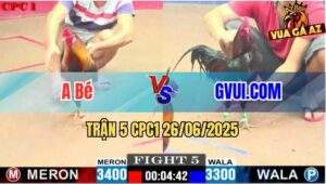 Trận 5 CPC1 26/06/2025 - Anh Bé Đụng Độ Với GVUI.COM