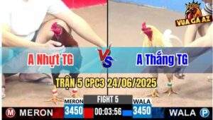 Trận 5 CPC3 24/06/2025 - Cánh Gà Anh Bảo Sting Đá Phản 5 Lai