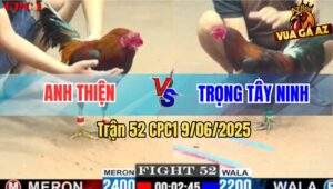Trận 52 CPC1 9/6/2025 - Anh Thiện Và Anh Trọng Tây Ninh