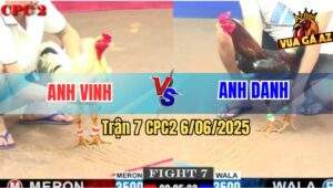 Trận 7 CPC2 6/6/2025 - Gà Que Anh Danh Chổi Chân Nào Có Tiền Chân Đó