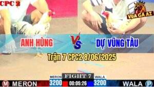 Trận 7 CPC2 8/6/2025 - Bướm Anh Hùng Có Chân Cúp Điện Hạ Bướm Anh Dự