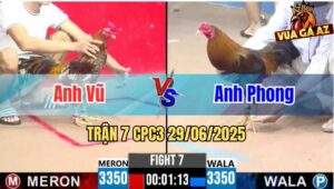 Trận 7 CPC3 29/06/2025 - Anh Vũ Đối Đầu Với Anh Phong