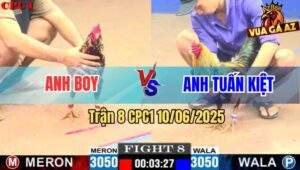 Trận 8 CPC1 10/6/2025 - Gà Chuối Anh Tuấn Kiệt Đá Khét Bông Lật Xe