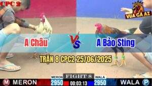 Trận 8 CPC2 25/06/2025 - Gà Anh Chí Hào Bươi Chà Như Cái Máy