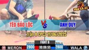 Trận 8 CPC3 11/6/2025 - Ô Mặt Lắc Anh Tèo Đá Quá Nhanh Quá Nguy Hiểm
