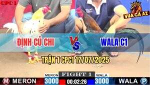 Trận 1 CPC1 17/7/2025 - Wala C1 Mở Màn Đụng Phải Cọp Bị Hạ Nhanh Gọn