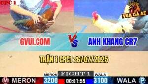 Trận 1 CPC1 26/7/2025 - Gà Điều GVUI.COM Chưa Kịp Ra Chân Đã Nằm Đống