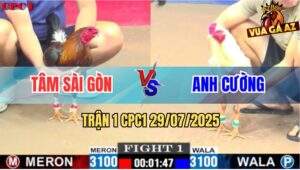 Trận 1 CPC1 29/7/2025 - Anh Tâm Sài Gòn Và Anh Cường