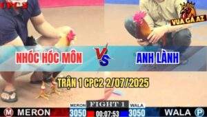 Trận 1 CPC2 2/7/2025 - Gà Điều Anh Lanh Vũng Tàu Mở Bát Bị Đá Bay Bồ