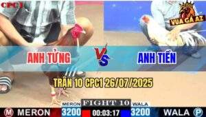 Trận 10 CPC1 26/7/2025 - Gà Bướm Anh Tiền Đá 3 Chân Điều Gãy Giò