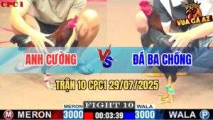 Trận 10 CPC1 29/7/2025 - Anh Cường Và Anh Đá Ba Chồng