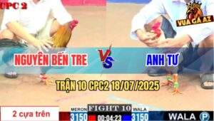 Trận 10 CPC2 18/7/2025 - Gà Anh Nguyên Đồng Ký Chấp Ngông Và Cái Kết
