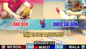 Trận 11 CPC1 19/7/2025 - Gà Khét Anh Đen Có Chân Phản Cứu Chủ