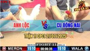 Trận 11 CPC1 21/7/2025 - Gà Cú Anh Cu Mai Độ Có Chân Cúp Điện Gà Bướm