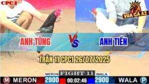 Trận 11 CPC1 26/7/2025 - Xanh Que Anh Tùng Có Chân Phản Đưa Biện Đi Xa