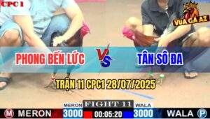 Trận 11 CPC1 28/7/2025 - Gà Anh Tân Giải Quết Đối Thủ Trong 1 Tay Nước