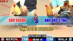 Trận 12 CPC1 7/7/2025 - Chuối Anh Khánh Đá Điều Bảo Sting Chạy Co Giò