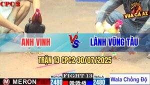 Trận 13 CPC2 30/7/2025 - Bướm Anh Lành Lên 2 Gặp Gà Điều 3 Đá Bốc Hơi