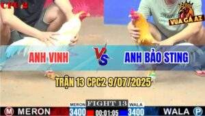 Trận 13 CPC2 9/7/2025 - Bướm Anh Vinh Ói Vẫn Hạ Camelo Anh Bảo Sting