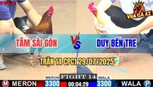 Trận 14 CPC1 29/7/2025 - Anh Tâm Sài Gòn Và Anh Duy Bến Tre