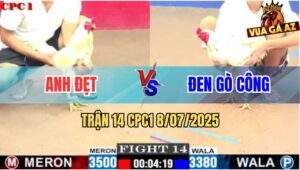 Trận 14 CPC1 8/7/2025 - Bướm Xạnh Bị Đá Kêu Miệng Trọng Tài Xử Thua