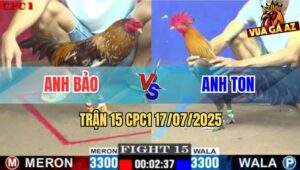 Trận 15 CPC1 17/7/2025 - Xám Chân Đen Anh Ton Đá Như Phát Xít
