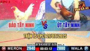 Trận 15 CPC1 21/7/2025 - Gà Điều Anh Út Bến Tre Đứng Chịu Đấm Ăn Xôi