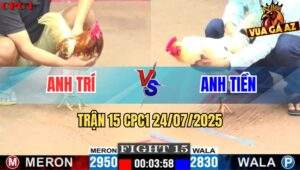Trận 15 CPC1 24/7/2025 - Bướm Anh Hải Tiễn Camelo Lên Đường