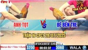 Trận 16 CPC1 28/7/2025 - Anh Tọt Tiếp Tục Hạ Anh Bé Kèo Trên Dưới