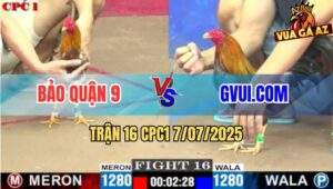 Trận 16 CPC1 7/7/2025 - GVUI.COM Thất Thủ Trước Anh Bảo Quận 9