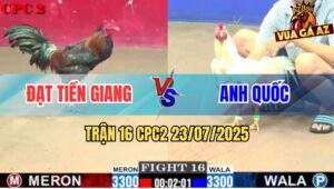 Trận 16 CPC2 23/7/2025 - Điều Bị Ói Xanh Mặt Phản Úa Cây Lung Hòa Tang