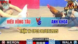 Trận 16 CPC2 30/7/2025 - Gà Bướm Anh Hiếu Vũng Tàu Có Chân Cúp Điện