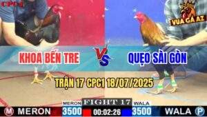 Trận 17 CPC1 19/7/2025 - Gà Anh Khoa Đá 1 Cước Phân Định Thắng Thúa