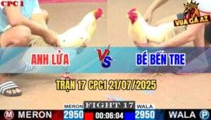 Trận 17 CPC1 21/7/2025 - Gà Bướm Anh Lửa Đá Gà Úa Anh Bé Chạy Co Giò