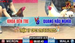 Trận 17 CPC1 29/7/2025 - Bướm Anh Quang Đâm Điều Xoay Như Chong Chóng