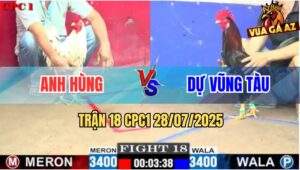 TRAN 18 CPC1 28072025