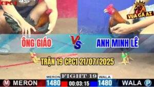 Trận 19 CPC1 21/7/2025 - Điều Minh Lê Đâm Điều Ông Giao Tê Liệt Bàn Tỳ