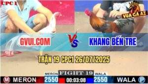 Trận 19 CPC1 26/7/2025 - Gà Điều Anh Khang Đâm Bướm GVUI Chạy Cò Cò