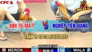 Trận 19 CPC2 9/7/2025 - Gà Khét Anh Tư Mã Ý Đá Gà Cú Chạy Xanh Mặt