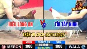 Trận 19 CPC3 16/7/2025 - Anh Hiếu Long An Gặp Anh Tài Tây Ninh