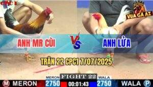 Trận 22 CPC1 7/7/2025 - Bướm Thái Anh Lửa Hạ Điều Râu Anh Mr Cùi