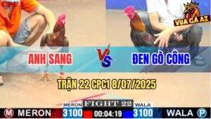 Trận 22 CPC1 8/7/2025 - Điều Chân Xanh Anh Đen Đâm Gà Vàng Banh Tỳ